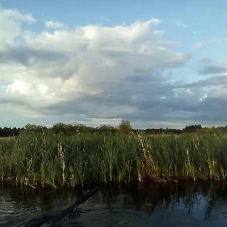 в финляндии *