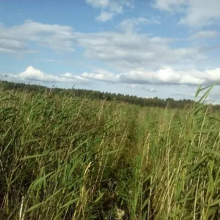 в финляндии