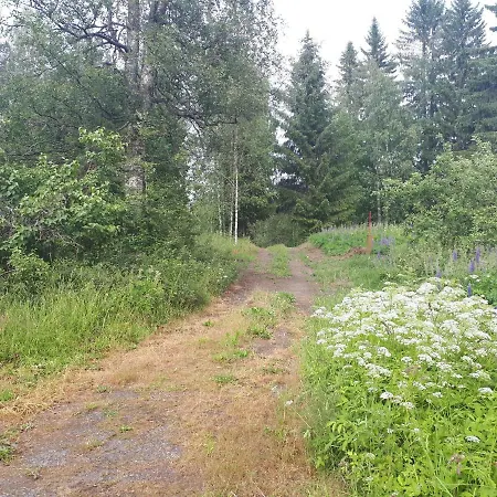 в финляндии Tohmajärvi