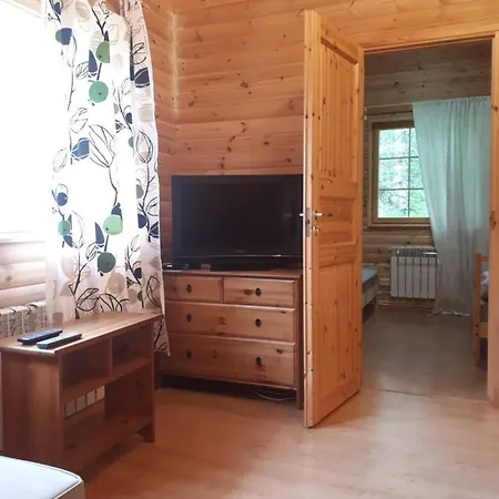 в финляндии *