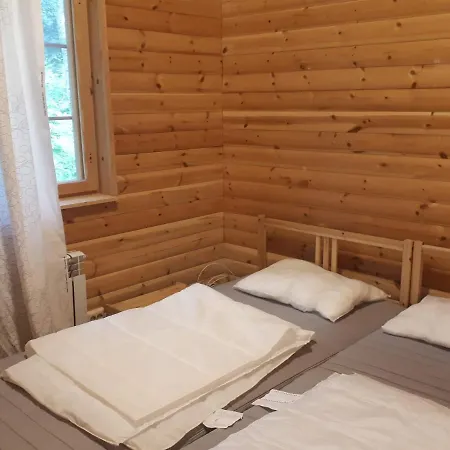 в финляндии *