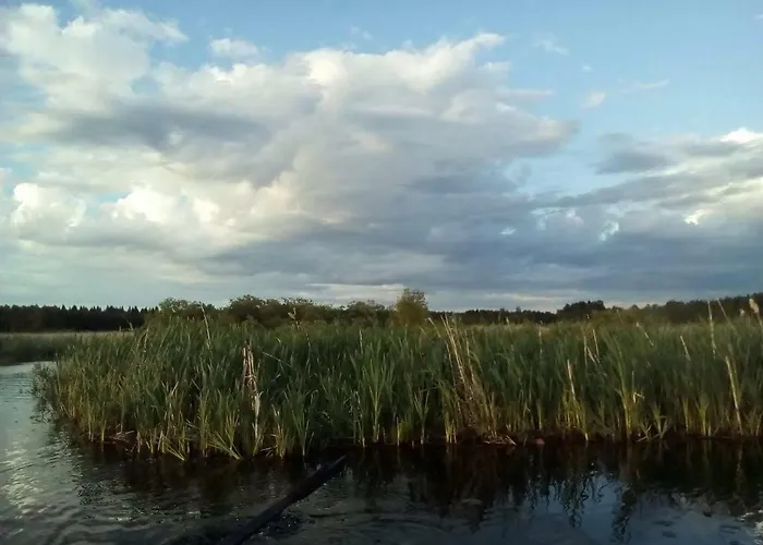 в финляндии *