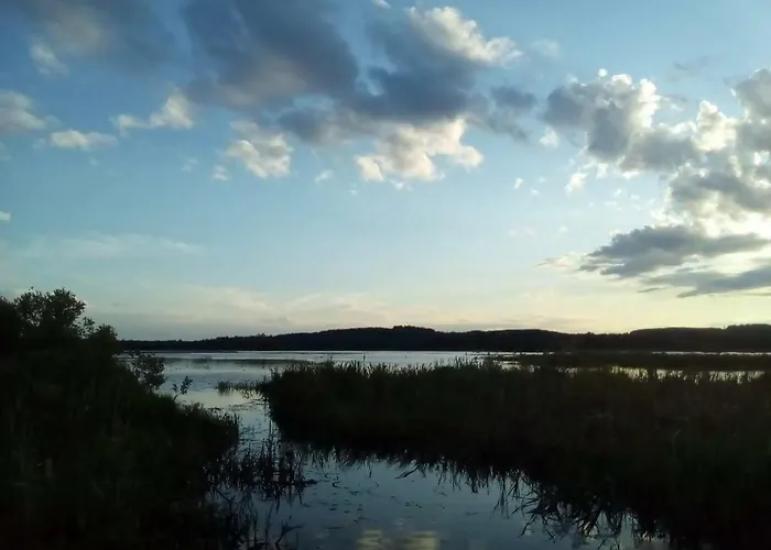 в финляндии Dom wakacyjny Tohmajärvi