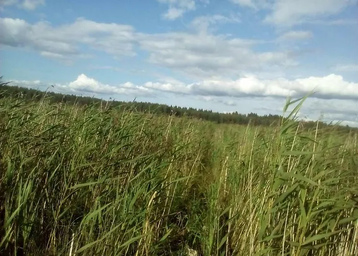 в финляндии