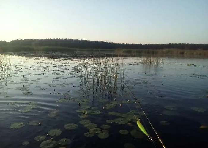 Dom wakacyjny в финляндии Tohmajärvi