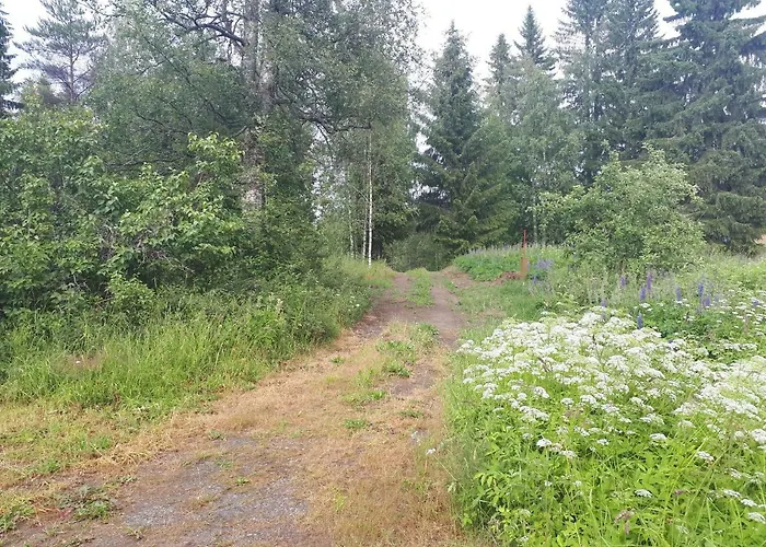 в финляндии Tohmajärvi