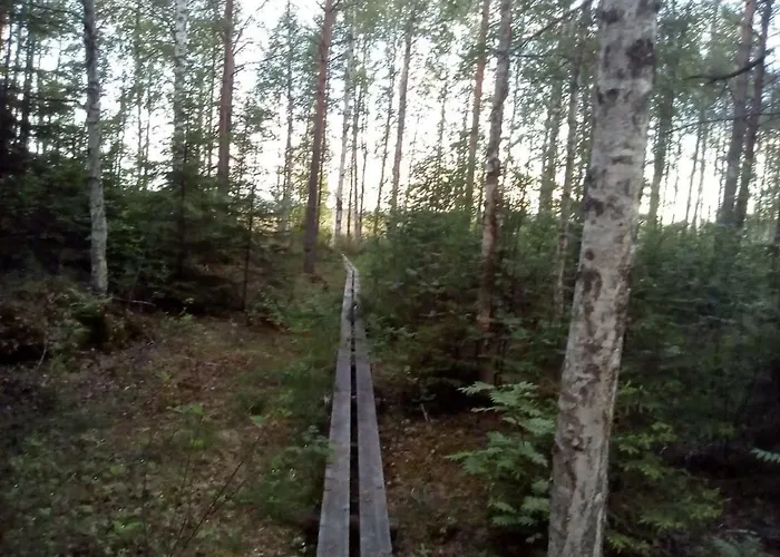 Dom wakacyjny в финляндии *